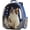 Blue, variant on Costyle Pet Cat Carrier Backpack Transparent Space Capsule Pet Dog Bubble Bag Hiking Backpack Airline Approved Travel Carrier, Black