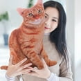 thumbnail image 4 of Kraoden Cat Plush Body Pillow, Cat Stuffed Animal, Soft Plush Pillow, Kitten Plush Throw Pillow Doll Big Plush Toy Decoration Doll Gift for Kids Boys, 4 of 8