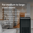 thumbnail image 4 of Ionic Pro Platinum Air Purifier with Blade Filter, 4 of 9