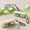 Green, variant on New compartmentalized portable pill box for travel, mini sealed dustproof storage, free shipping