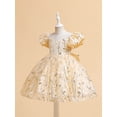 thumbnail image 3 of Bagilaanoe Girls Formal Dress Flower Girl Floral Embroidery Dress Puff Sleeve A-line Princess Dresses 4-13T Kids Ruffle Tulle Dress for Wedding Birthday Party Gown, 3 of 9