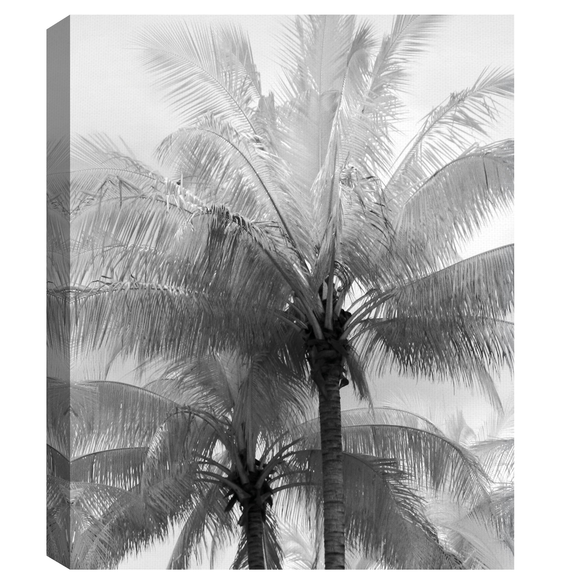 Kerala Focus by Bill Philip Palm Trees Photo Canvas Art