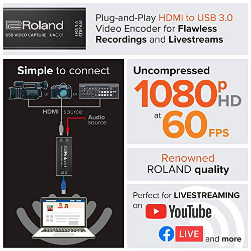 Roland/UVC-01 USB VIDEO CAPTURE - Walmart.com