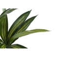 thumbnail image 5 of Artificial Plant - 51" Tall - Indoor - Floor - Potted - Green Leaves, 5 of 6