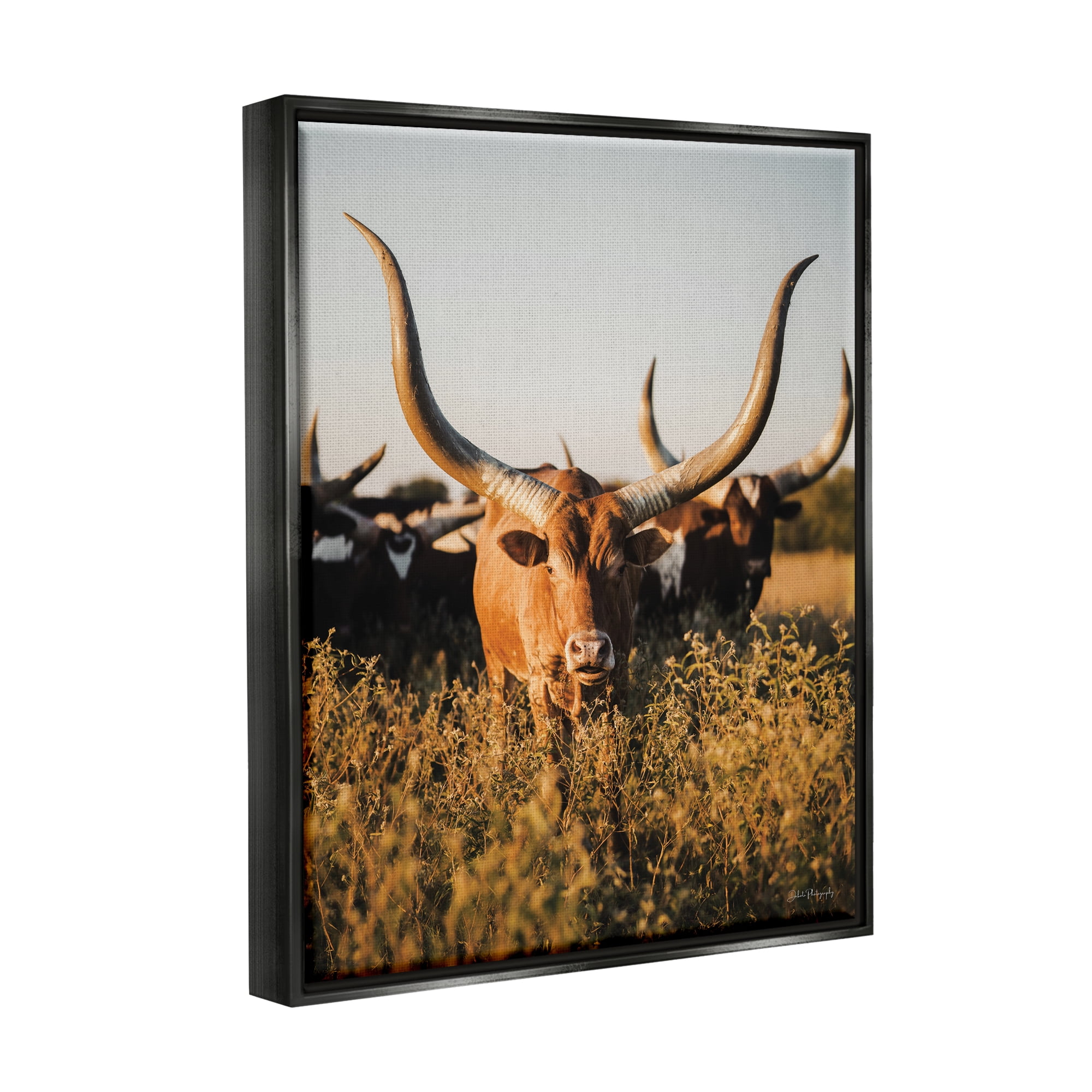Stupell Industries Longhorn Herd Photography Animals & Insects Photography Black Floater Framed Canvas Art Print Wall Art, 25 x 31