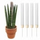 thumbnail image 1 of Poste de plástico para musgo de monstera, postes para plantas trepadoras, soporte para plantas de interior, funciona con musgo sphagnum (botella), 1 of 5
