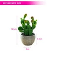thumbnail image 2 of Decoraciones creativas de plantas tropicales artificiales de bonsái de cactus artificiales, 2 of 5