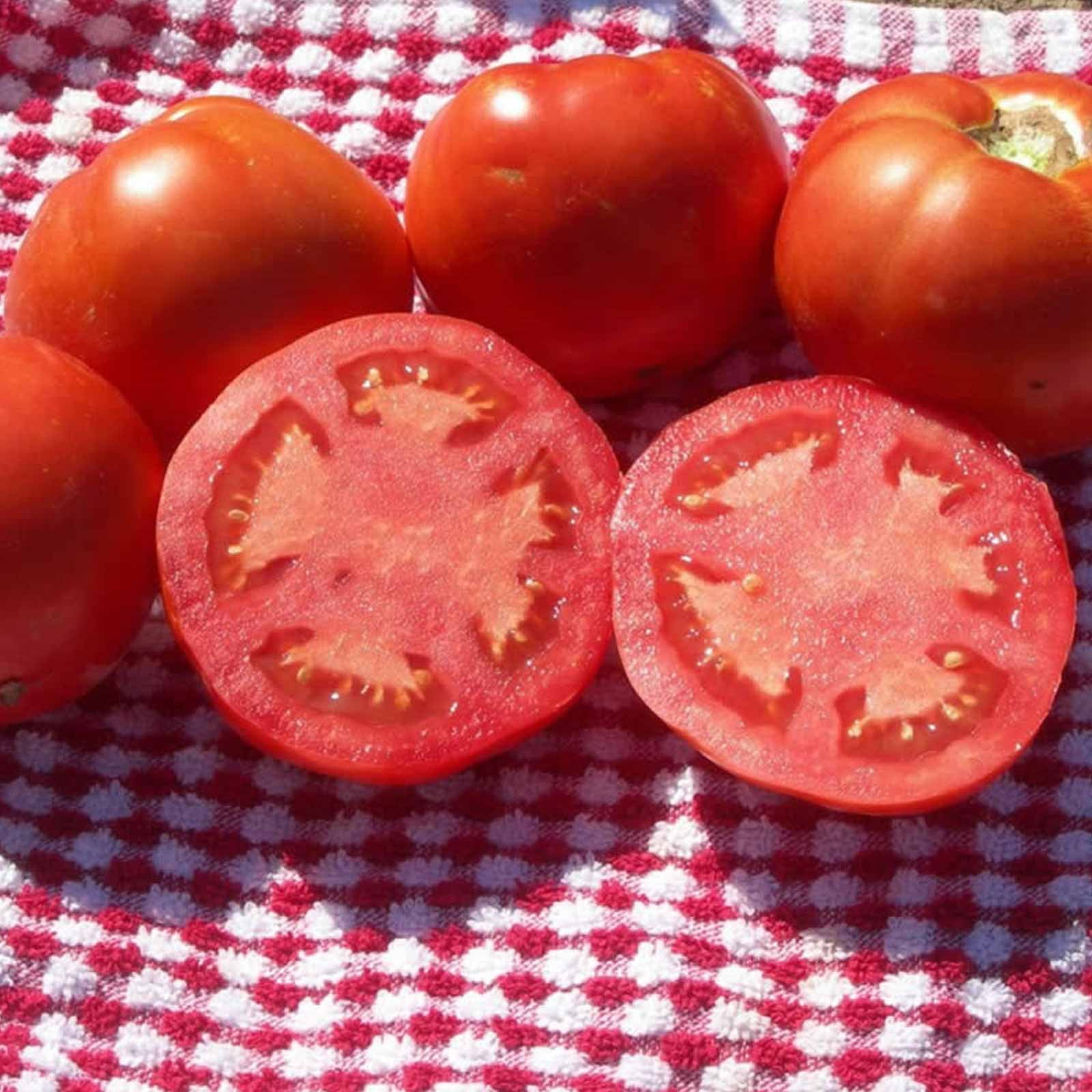 Tomato Garden Seeds Beefsteak (Ponderosa Red) 4 Oz NonGMO