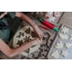 thumbnail image 4 of Set para hornear galletas Handstand Kitchen Winter Wonderland, 30 unidades, 4 of 5