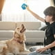 thumbnail image 2 of Juguete Para Perros De Látex Con Forma De Ojo Grande, Que Emite Sonidos Y Es Fácil De Limpiar, 2 of 7