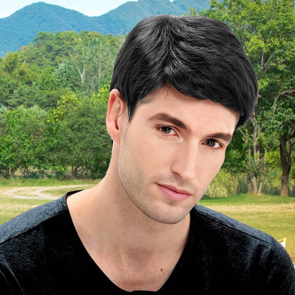 Handsome Short Straight Hair Wig for Men - 25cm 10inch European and Fashion Fiber Full Head Cover