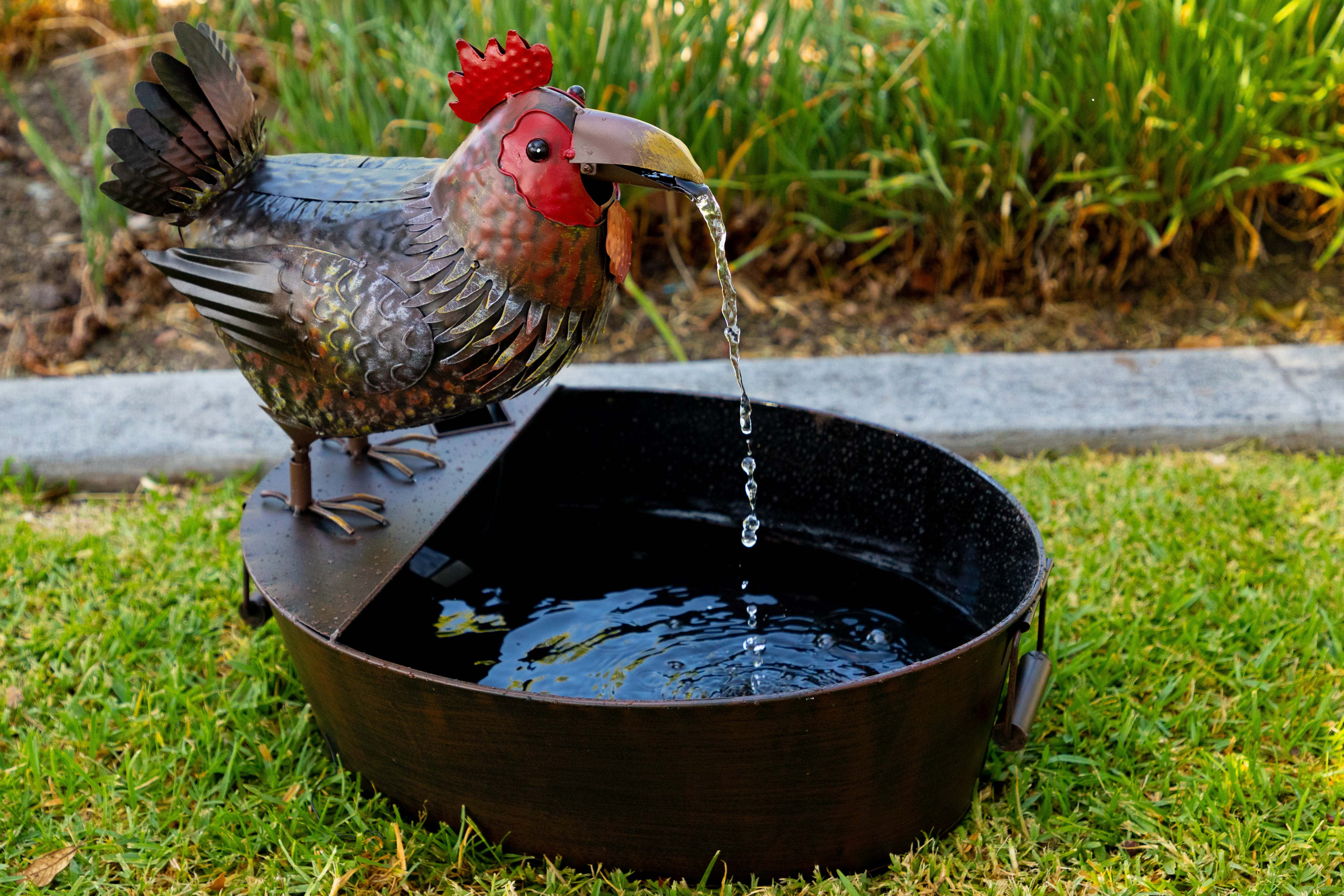Alpine Metal Rooster on a Tin Fountain, 20 Inch Tall by Alpine Corporation