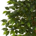thumbnail image 2 of Nearly Natural 4' Ficus Artificial Tree UV Resistant (Indoor/Outdoor), 2 of 5