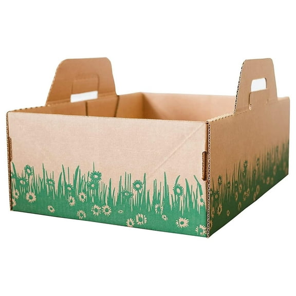 Disposable Ten Second Litter Boxes for Kitty/Cats. Made in The USA. Biodegradable for Quick and Easy Disposal. Made of Recyclable Material. (4-Pack) 17x13x6" (4-Pack)