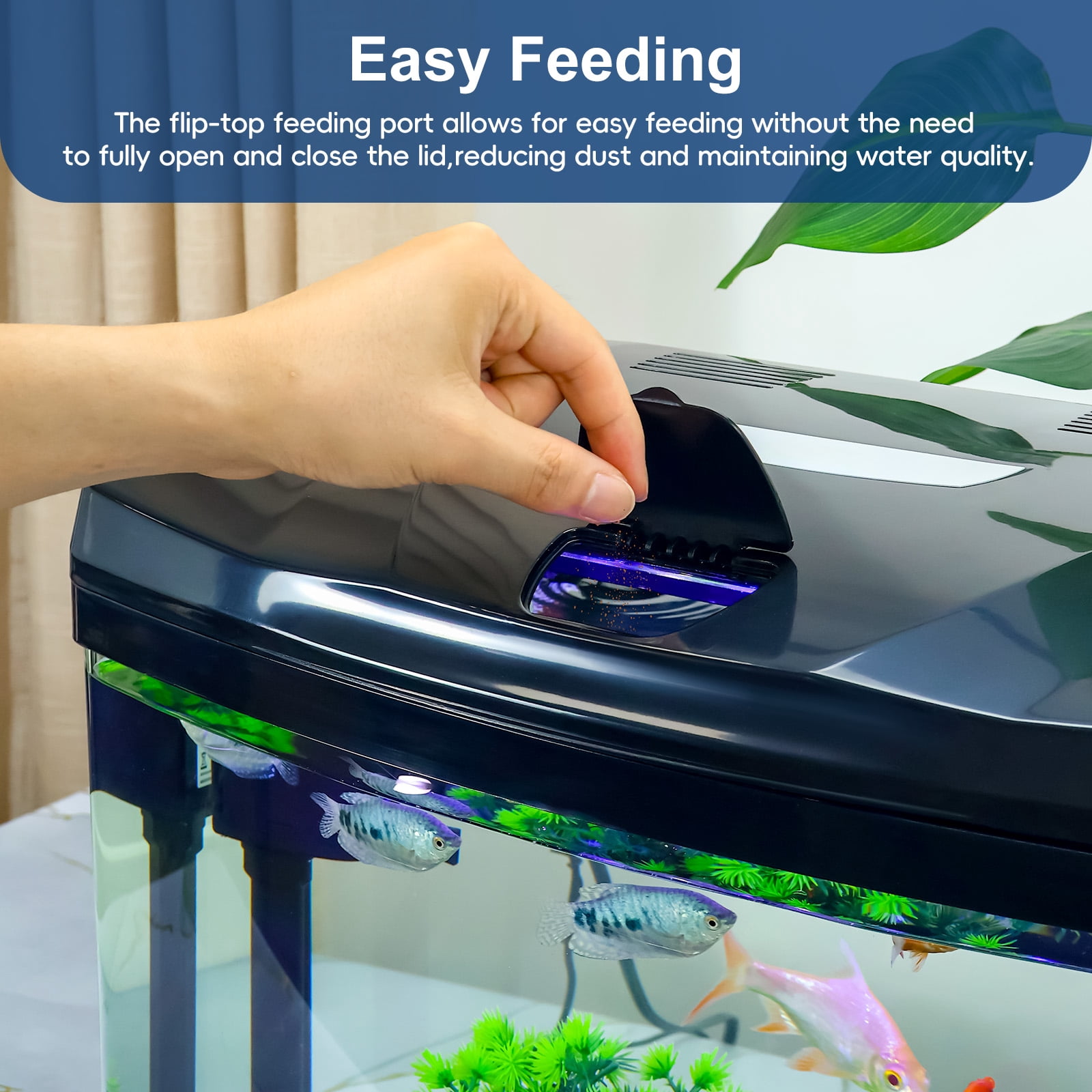 3 Gallon Betta Fish Tank Kit with Eco-Cycle Filtration & LED Lighting – Glass Aquarium Featuring Flip-Top Feeding Port, 360° Clear View, Air Pump, and Integrated Filter