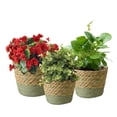 thumbnail image 2 of Bxaolu Plant Basket, 3-Pack Plant Basket Indoor with Plastic Liner, Woven Planters Flower Basket, Planter Basket for Rustic Boho Home Farmhouse Floor Potted Pots Decor (S, Green), 2 of 8