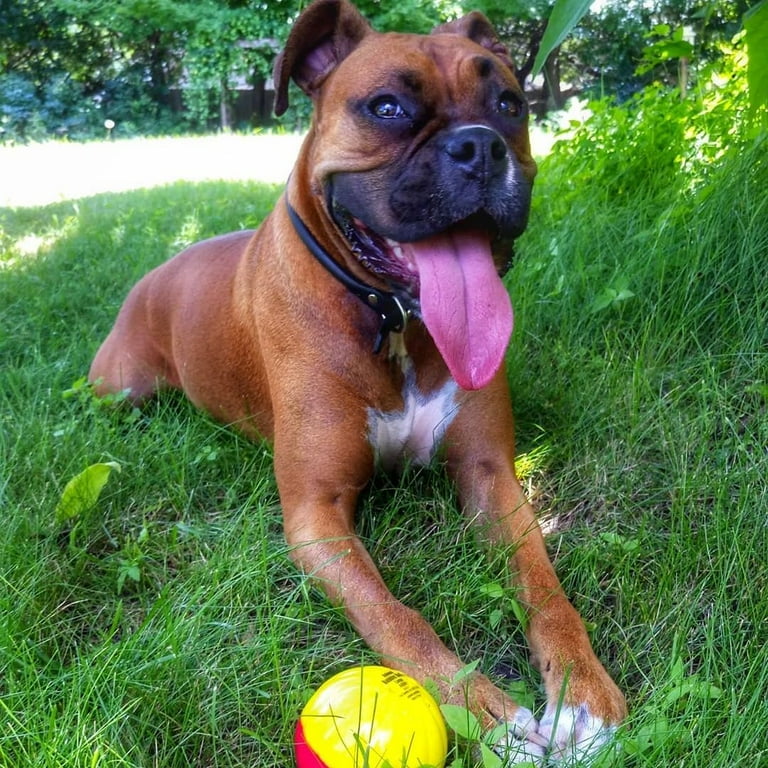 Animal sounds babble clearance ball