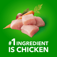 thumbnail image 2 of Iams Proactive Health Puppy Wet Dog Food Classic Ground with Chicken & Rice, 2 of 12