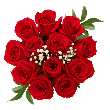 One Dozen Red Roses with Baby s breath and Green- Fresh Flower Delivery