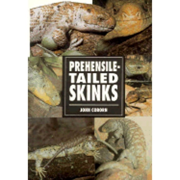 Pre-Owned Prehensile-Tailed Skinks (Paperback) 0793802792 9780793802791