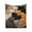 C, variant on B Flannel Fleece Throw Blanket Sleeping Cats Print Cute Multi Color For Home Bed Sofa Couch 59.0X39.3 In 100% Polyester