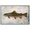 WHITE, variant on wall26 Framed Canvas Print Wall Art Trout Fish on Granite Background Marine Life Animals Digital Art Realism Nautical Scenic Colorful Ultra for Living Room, Bedroom, Office - 16"x24" White