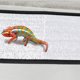thumbnail image 4 of RENACLIPY Alfombrilla De Calor Para Reptiles Con Reflectante Ahorra Energía Y Mantiene Calor, 4 of 7