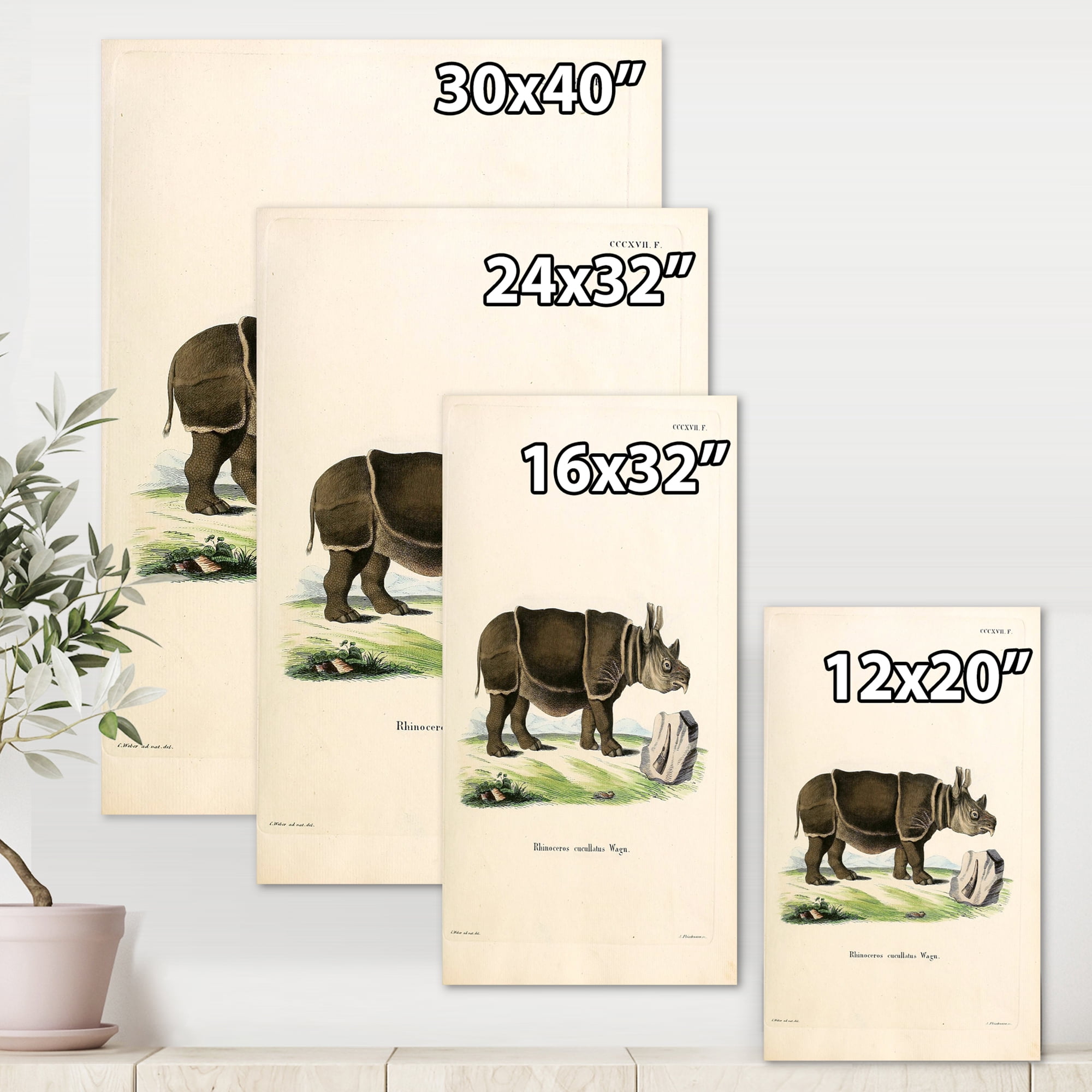 Designart ' Ancient Rhinoceros ' Farmhouse Canvas Wall Art Print