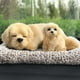 thumbnail image 4 of Juguete de simulación de perro durmiendo, perro de peluche, adorno para coche, adorable muñeco de peluche, decoración para el hogar, decoración del salpicadero, regalo, 4 of 5