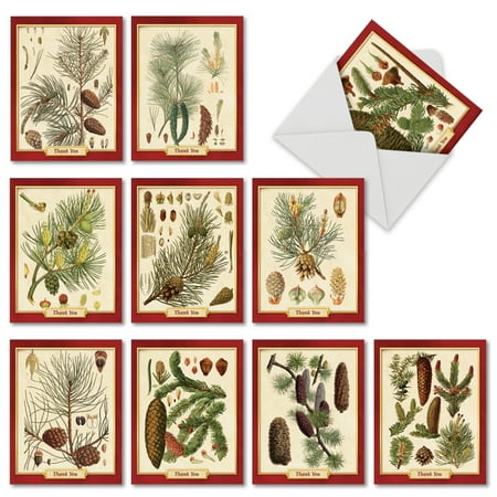 M9627XTB PINING FOR CHRISTMAS' 10 Assorted Christmas Thank You Notecards with Envelopes by The Best Card