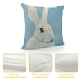 thumbnail image 4 of Nawypu Easter Decorative Throw Pillow Covers,Spring Rabbit Bunny Cushion Cover, 4 of 5