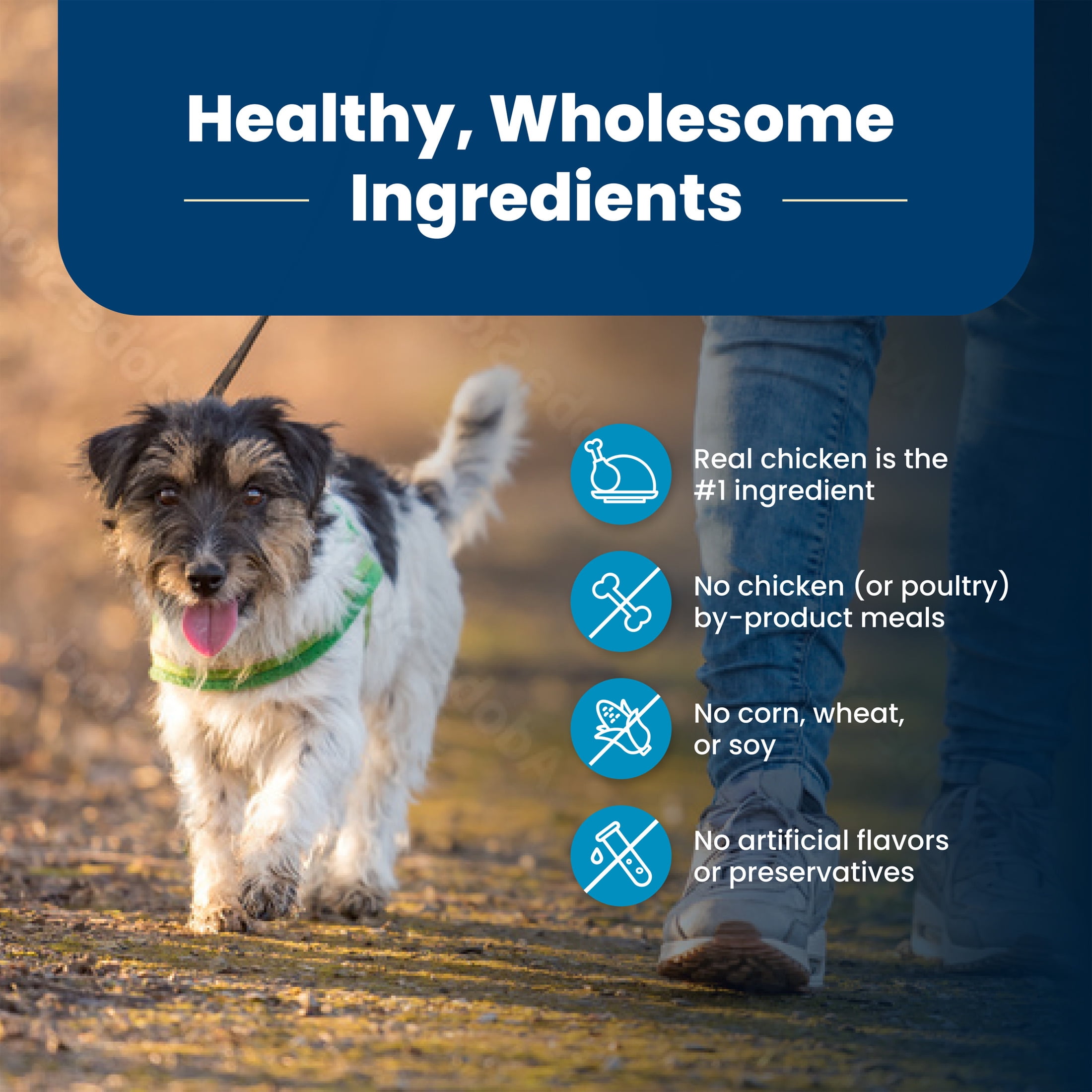 Blue Buffalo Life Protection Formula Adult Small Bite Dry Dog Food, Chicken & Brown Rice, 30 lbs.