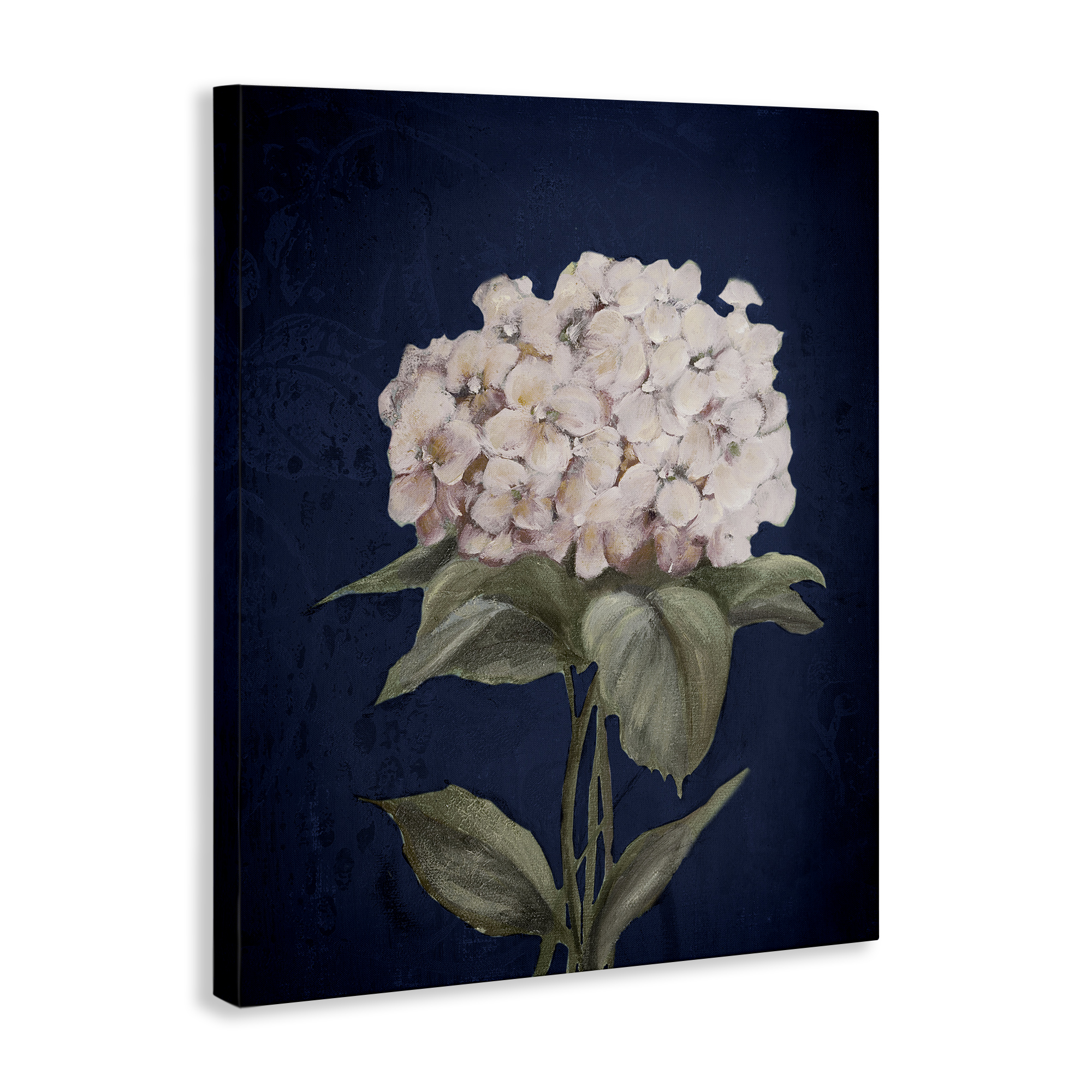 Stupell Industries Single Hydrangea Bloom Botanical & Floral Painting Gallery Wrapped Canvas Art Print Wall Art, 24 x 30