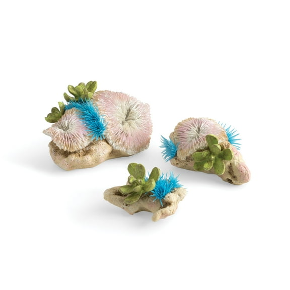 biOrb Plate Corals & Button Polyps Set