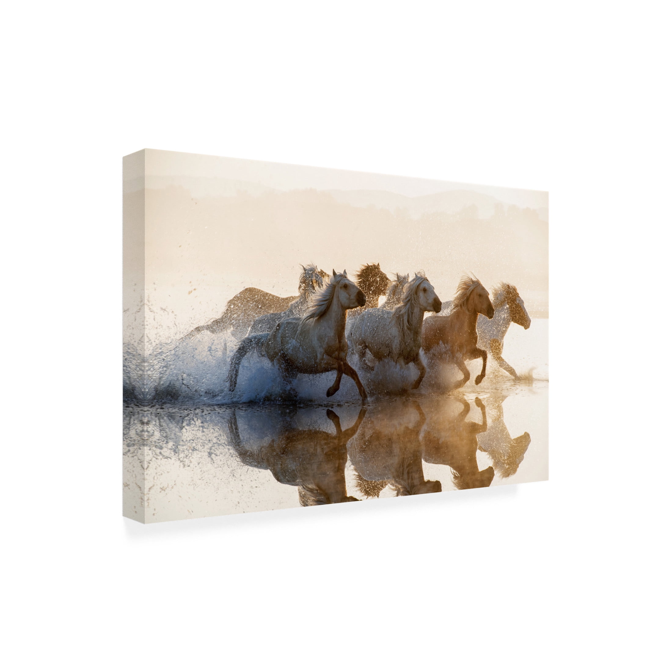Trademark Fine Art Summer2016 Horses Canvas Wall Art