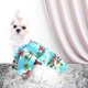 thumbnail image 2 of Camisa hawaiana Camiseta transpirable de verano para perros Ropa cómoda estilo de vacaciones en la playa Ropa para mascotas Cachorros de perros pequeños y medianos Gato (m) Rojo Verde Cocina, Decoración y Otros, 2 of 5