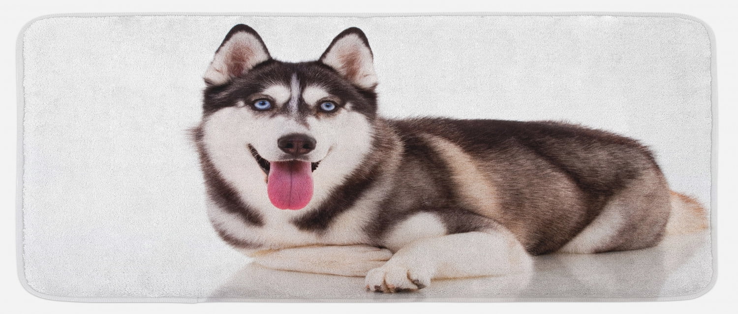 Alaskan Malamute Kitchen Mat, Funny Siberian Dog Blue Eyes Furry Domestic  Canine Image, Plush Decorative Kitchen Mat with Non Slip Backing, 47