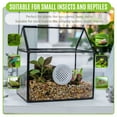 thumbnail image 6 of NCYP Small Glass Terrarium with Lid and Mesh Vents, for Garden Plants, Succulents, Snails, 6 of 10
