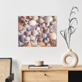 thumbnail image 6 of Lsque Sea Shells Print Wall Art – Decorative Picture for Living Room, Bedroom, and Office (Horizontal), 6 of 6