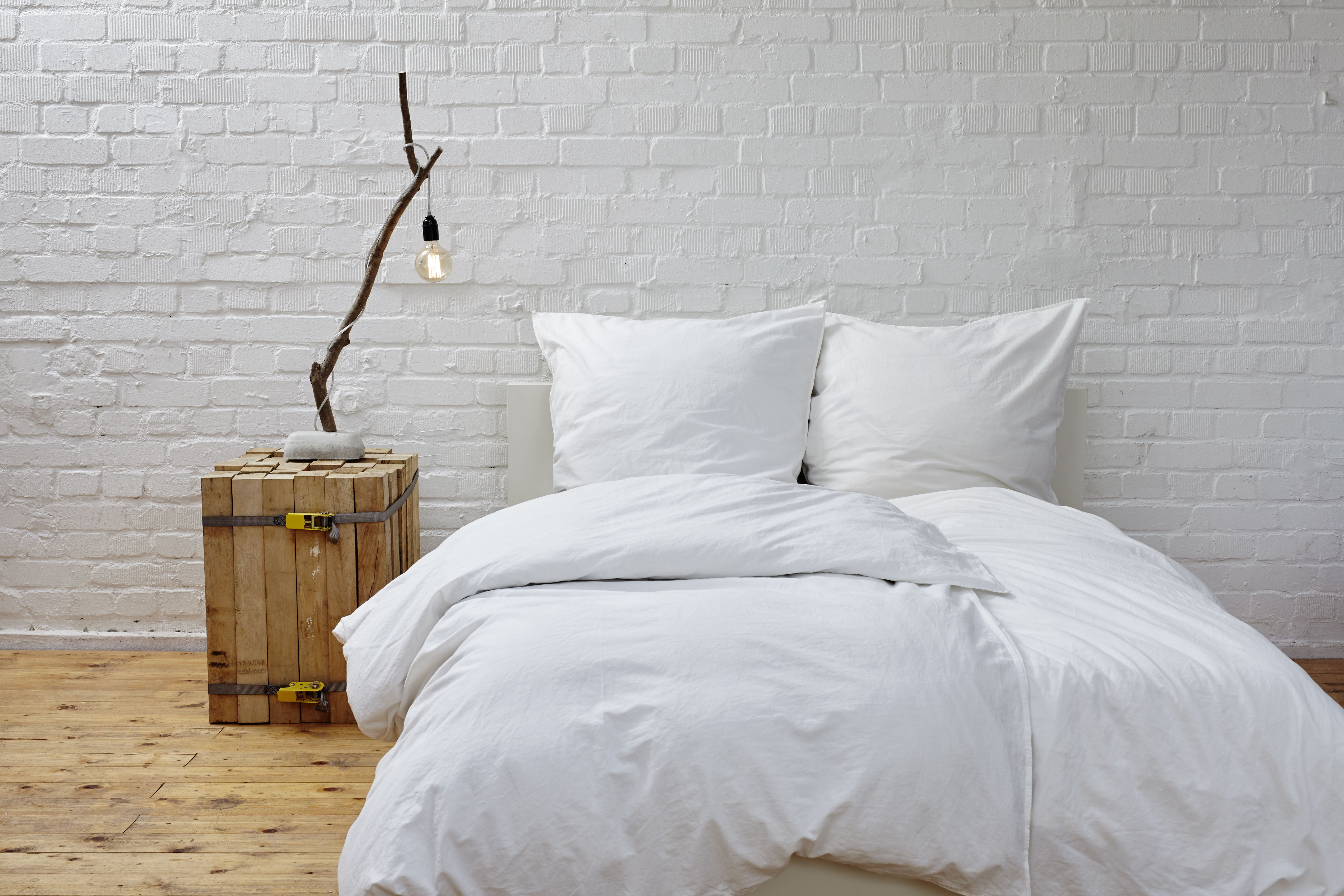 Fresh Ideas Cotton Zippered Pillow Protector, Euro
