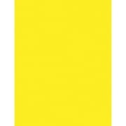Pacon Laser Bond Paper Yellow 10% Recycled Content - Letter - 8.50" x 11" - 24 lb Basis Weight - 100 Sheets Bundle of 2 Packs
