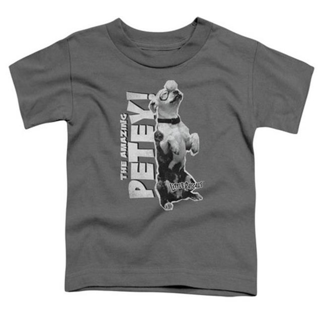 Little Rascals-Amazing Petey - Short Sleeve Toddler Tee - Charcoal, Small 2T