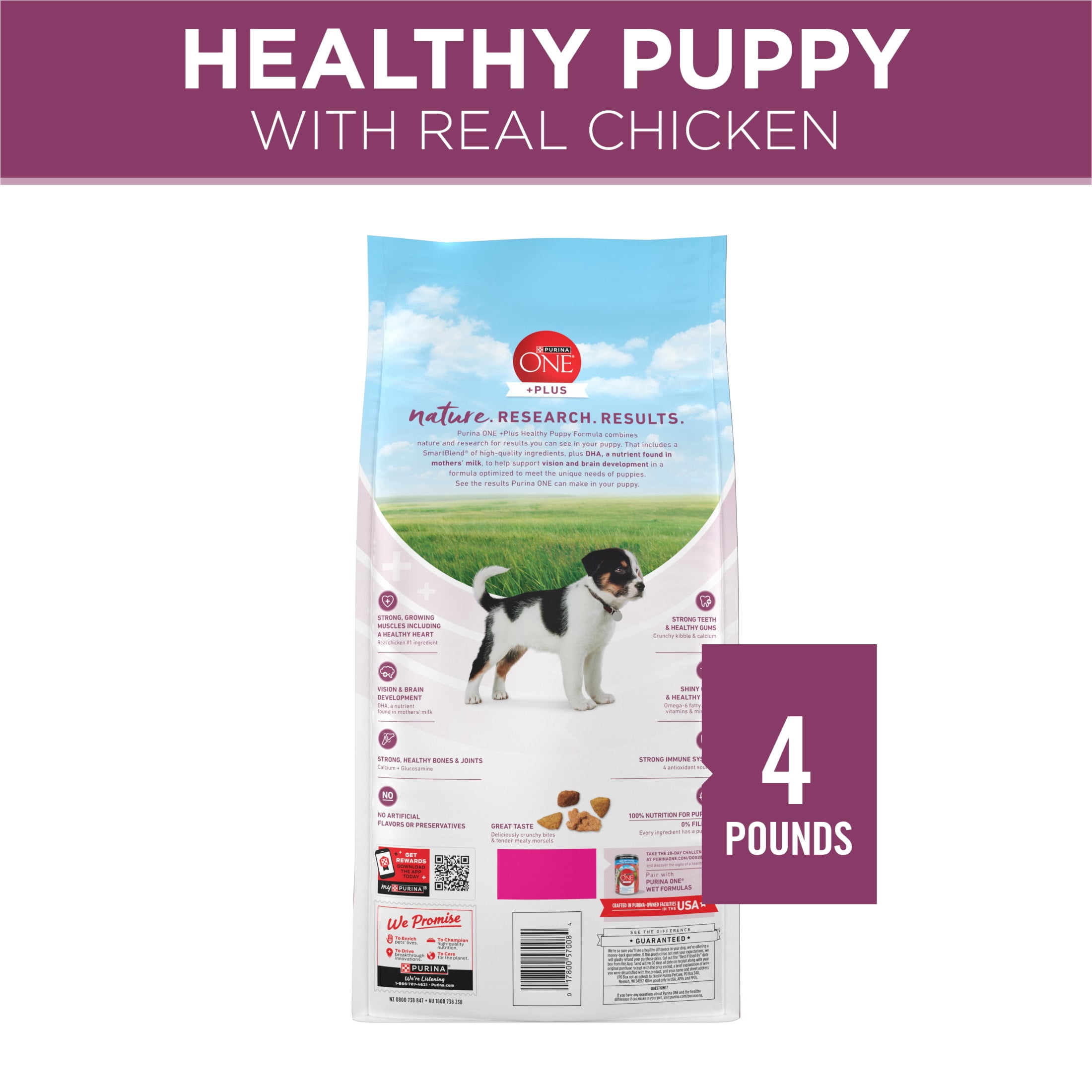Purina ONE Natural, High Protein Dry Puppy Food, Plus Healthy Puppy Formula, 4 lb.