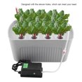 thumbnail image 3 of Sistema hidropónico de 11 agujeros para cultivo de plantas y flores, caja de cultivo sin suelo de 110V (enchufe gris de EE. UU.), 3 of 8