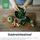 thumbnail image 2 of Desings for Health | GI-Revive™, 210 Cápsulas. Suplemento alimenticio., 2 of 7