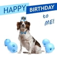 thumbnail image 2 of Dog Birthday Party Supplies Decorations ，Ideal Gift for Small Medium Dogs, 2 of 4