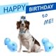 thumbnail image 2 of perro cumpleaños accesorios azul Adepaton ZJWJ527, 2 of 6