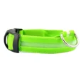 thumbnail image 1 of Collar Luz Led Para Perros Y Gatos Paseo Nocturno Pack 3 Pzs, 1 of 3
