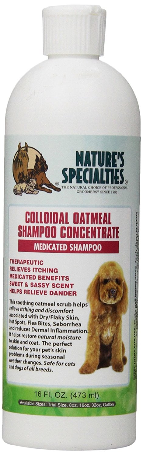 colloidal oatmeal shampoo