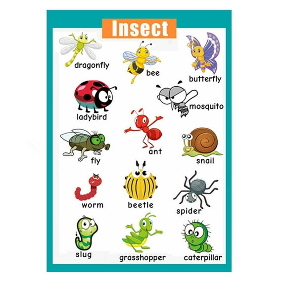 Laminated Educational Preschool Posters for Toddlers| Educational Wall Charts | School classroom Posters | Class decorations for Kindergarten-  Insect.